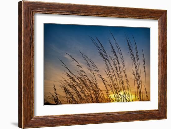 Prairie Grass Sunset-Steve Gadomski-Framed Photographic Print