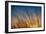 Prairie Grass Sunset-Steve Gadomski-Framed Photographic Print