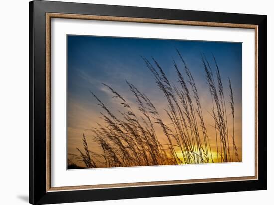 Prairie Grass Sunset-Steve Gadomski-Framed Photographic Print