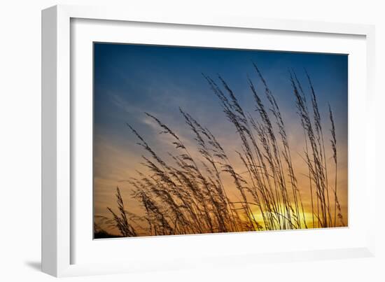 Prairie Grass Sunset-Steve Gadomski-Framed Photographic Print