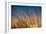 Prairie Grass Sunset-Steve Gadomski-Framed Photographic Print