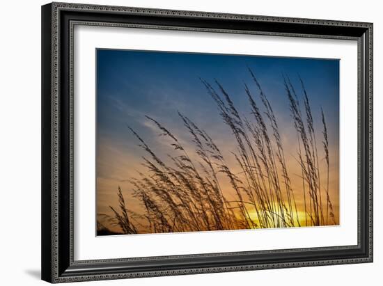 Prairie Grass Sunset-Steve Gadomski-Framed Photographic Print