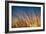 Prairie Grass Sunset-Steve Gadomski-Framed Photographic Print