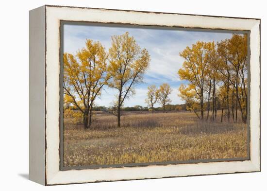Prairie Grassland, Beatrice, Nebraska, USA-Walter Bibikow-Framed Premier Image Canvas