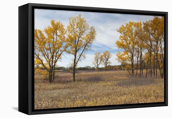 Prairie Grassland, Beatrice, Nebraska, USA-Walter Bibikow-Framed Premier Image Canvas