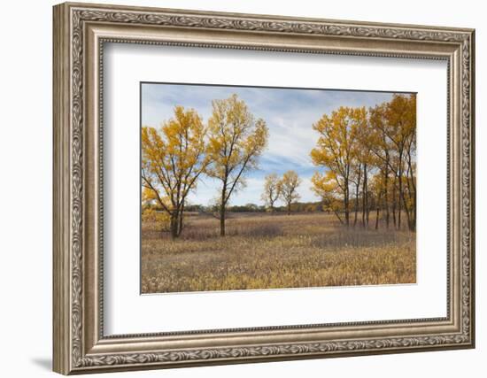 Prairie Grassland, Beatrice, Nebraska, USA-Walter Bibikow-Framed Photographic Print