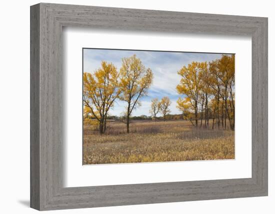 Prairie Grassland, Beatrice, Nebraska, USA-Walter Bibikow-Framed Photographic Print