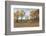 Prairie Grassland, Beatrice, Nebraska, USA-Walter Bibikow-Framed Photographic Print