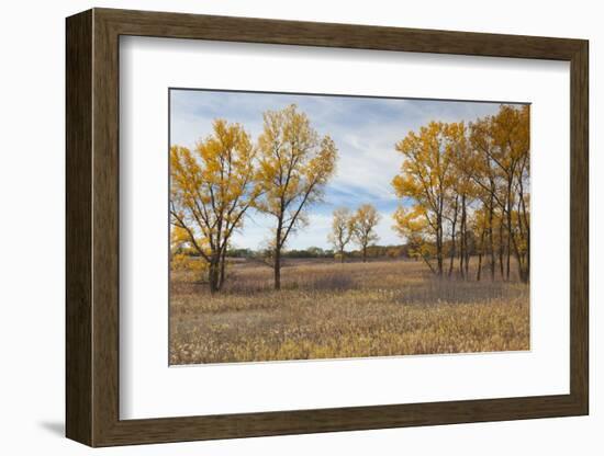 Prairie Grassland, Beatrice, Nebraska, USA-Walter Bibikow-Framed Photographic Print