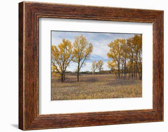 Prairie Grassland, Beatrice, Nebraska, USA-Walter Bibikow-Framed Photographic Print