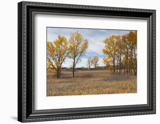 Prairie Grassland, Beatrice, Nebraska, USA-Walter Bibikow-Framed Photographic Print