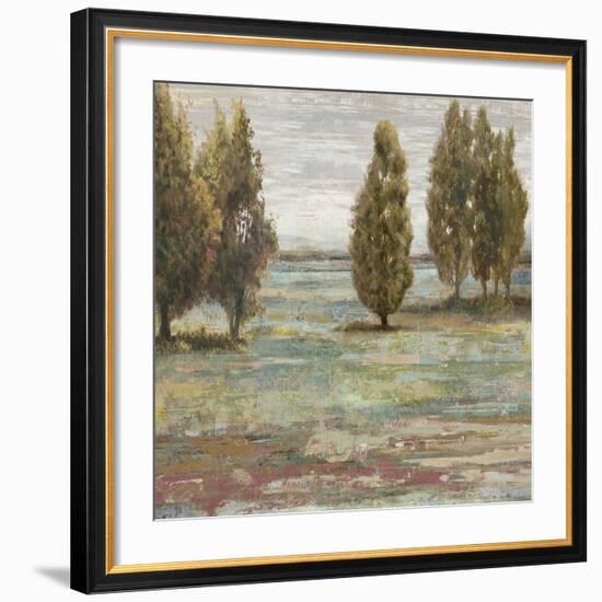 Prairie Grove II-Paul Duncan-Framed Art Print