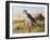 Prairie Guardion-Trevor V. Swanson-Framed Giclee Print