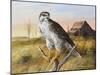 Prairie Guardion-Trevor V. Swanson-Mounted Giclee Print