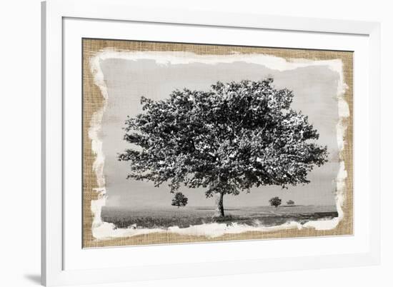 Prairie Lands-Mark Chandon-Framed Giclee Print