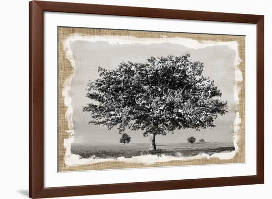 Prairie Lands-Mark Chandon-Framed Giclee Print