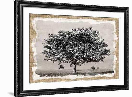 Prairie Lands-Mark Chandon-Framed Giclee Print