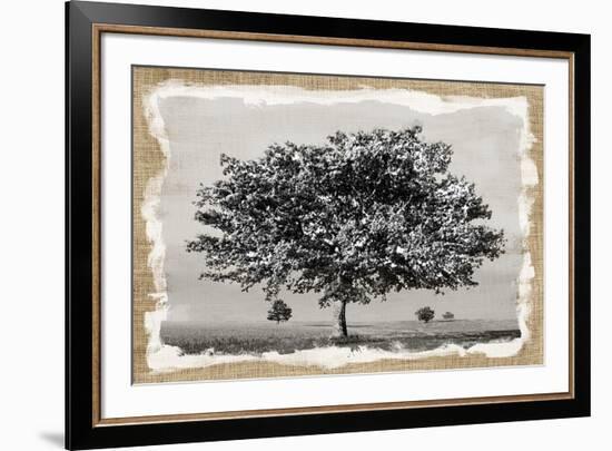 Prairie Lands-Mark Chandon-Framed Giclee Print