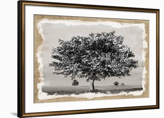 Prairie Lands-Mark Chandon-Framed Giclee Print