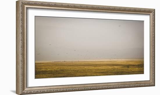 Prairie Perspective-Andrew Geiger-Framed Giclee Print