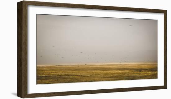 Prairie Perspective-Andrew Geiger-Framed Giclee Print
