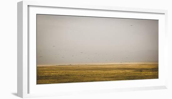 Prairie Perspective-Andrew Geiger-Framed Giclee Print