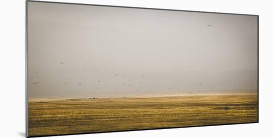 Prairie Perspective-Andrew Geiger-Mounted Giclee Print