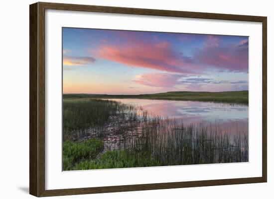 Prairie pond at sunrise in Garfield County near Jordan, Montana, USA-Chuck Haney-Framed Photographic Print