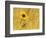 Prairie Sunflower at Palouse Falls State Park, Washington, USA-Chuck Haney-Framed Photographic Print