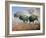 Prairie Thunder-Jack Sorenson-Framed Art Print