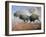 Prairie Thunder-Jack Sorenson-Framed Art Print