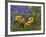 Prairie Wildflowers, Montana, Usa-Chuck Haney-Framed Photographic Print