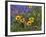 Prairie Wildflowers, Montana, Usa-Chuck Haney-Framed Photographic Print