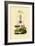 Pram Bug Amphipod, 1833-39-null-Framed Giclee Print