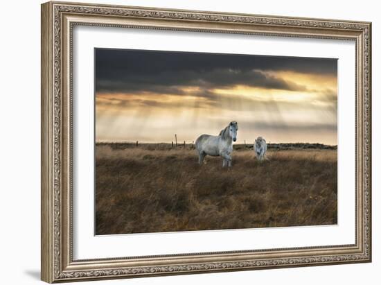 Prance-Andreas Stridsberg-Framed Giclee Print