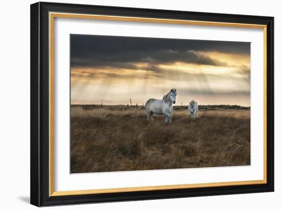 Prance-Andreas Stridsberg-Framed Giclee Print