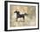 Prancer-Marta Wiley-Framed Giclee Print