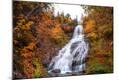 Photographic Print
