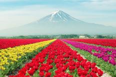 Mt. Fuji at Lake Kawaguchi During Sunrise in Japan. Mt. Fuji Is Famous Mountain in Japan-Prasit Rodphan-Premier Image Canvas