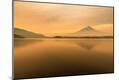 Photographic Print