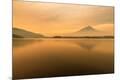 Photographic Print