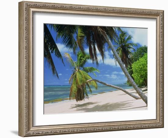 Praslin Beach, Seychelles, Indian Ocean, Africa-Hans Peter Merten-Framed Photographic Print