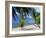 Praslin Beach, Seychelles, Indian Ocean, Africa-Hans Peter Merten-Framed Photographic Print