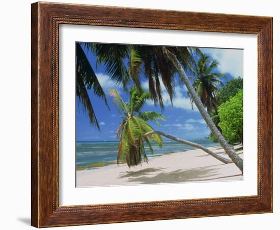 Praslin Beach, Seychelles, Indian Ocean, Africa-Hans Peter Merten-Framed Photographic Print