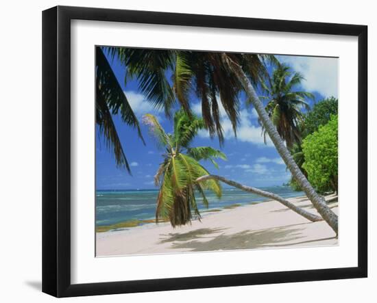 Praslin Beach, Seychelles, Indian Ocean, Africa-Hans Peter Merten-Framed Photographic Print