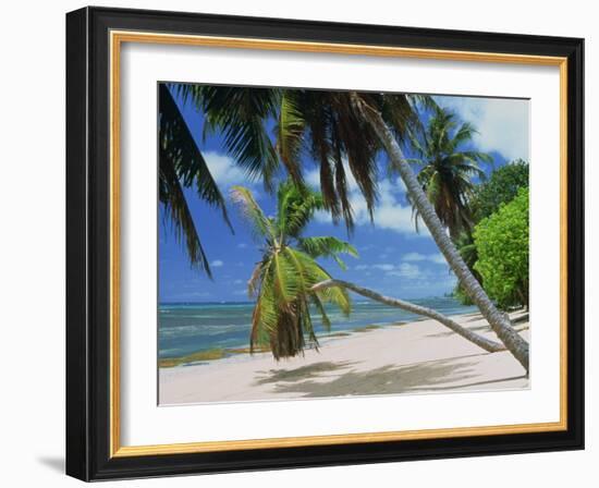 Praslin Beach, Seychelles, Indian Ocean, Africa-Hans Peter Merten-Framed Photographic Print