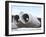 Pratt & Whitney Engines TF33 of the B-52H Stratofortress-Stocktrek Images-Framed Photographic Print