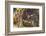 Prayer Flags Along Trail to Takshang Monastery (Tiger's Nest), Bhutan-Howie Garber-Framed Photographic Print