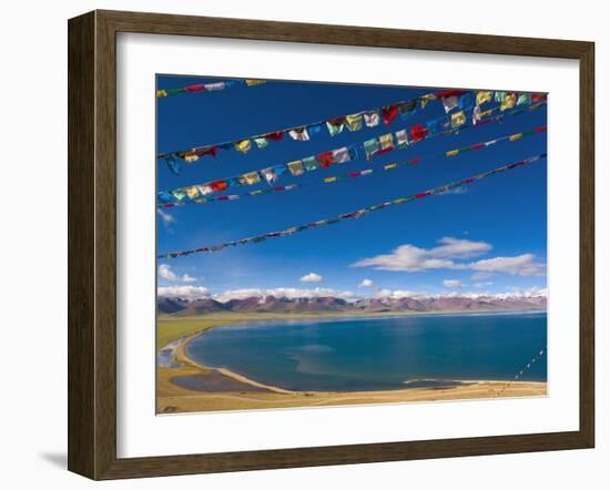 Prayer Flags at Nam Tso Lake, Central Tibet-Michele Falzone-Framed Photographic Print