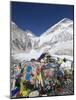 Prayer Flags at the Everest Base Camp Sign, Sagarmatha National Park, Himalayas-Christian Kober-Mounted Photographic Print